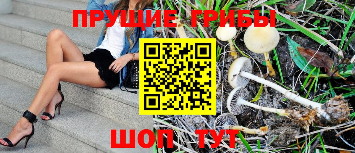 сколько стоит  Вход с VPN  Туапсе  Галлюциногенные грибы MAGIC MUSHROOMS 